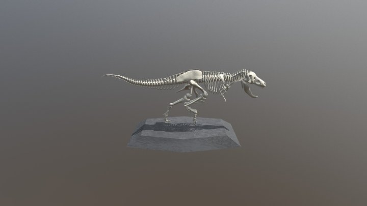 3D T-Rex Skeleton - Edgar Ortiz Amaya 3D Model