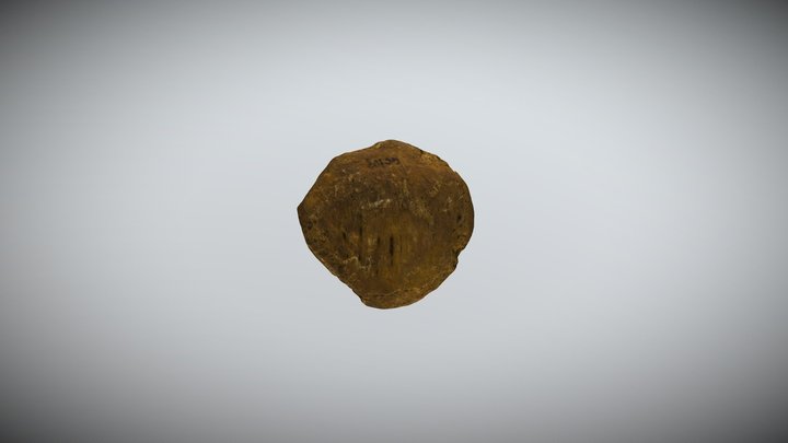 Great Chesterford (GC_103_R) 3D Model
