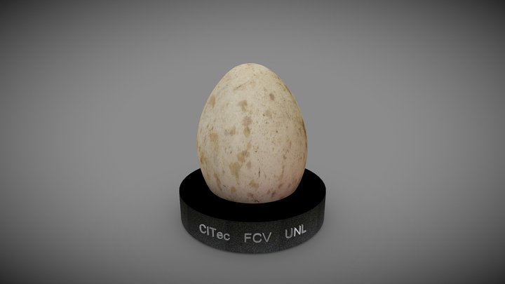Huevo de Carau 3D Model