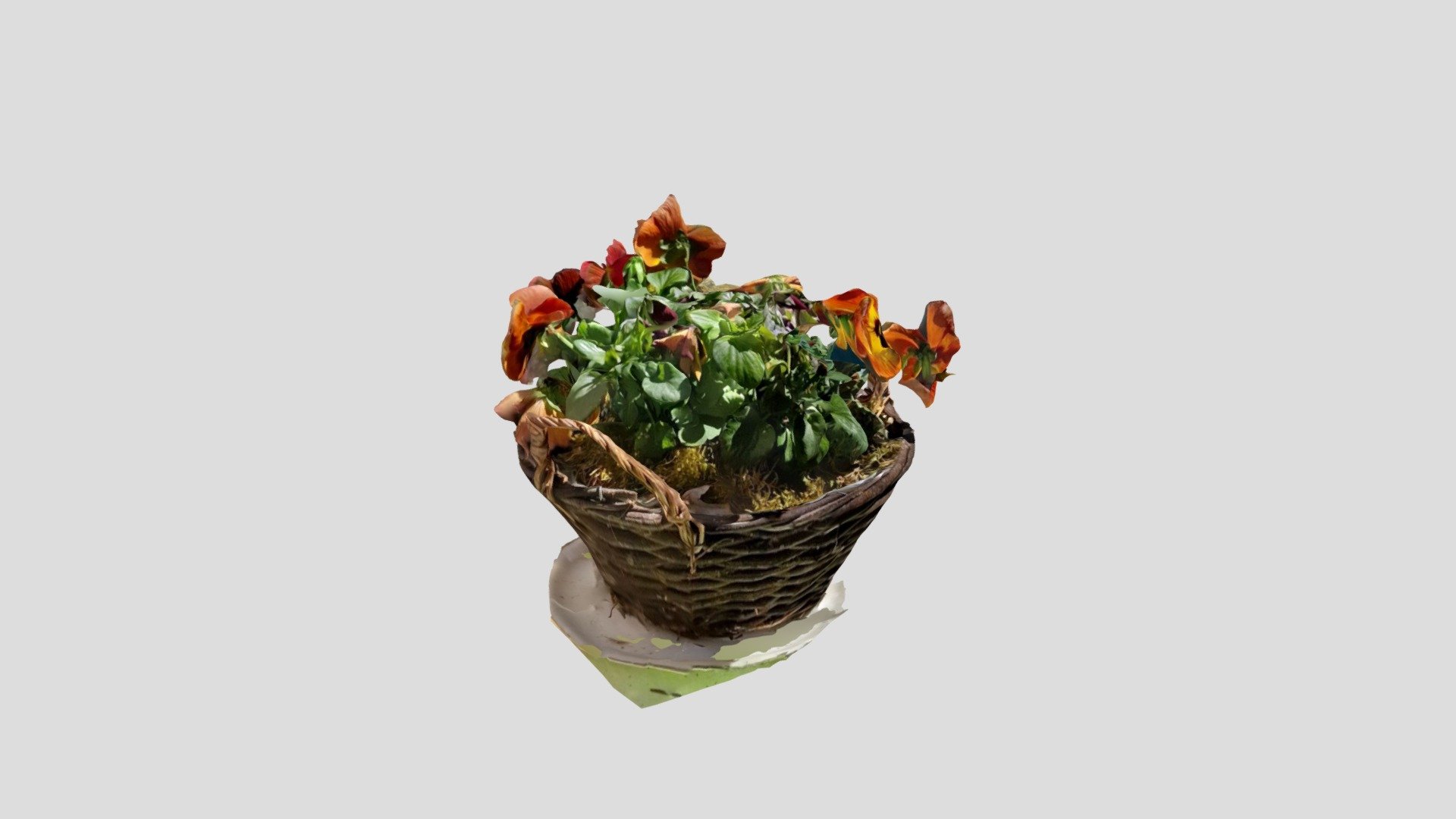 Blumenkorb
