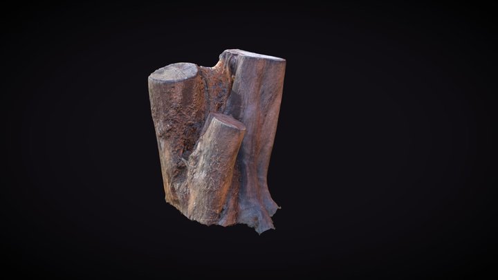 Tree trunk 3D Model