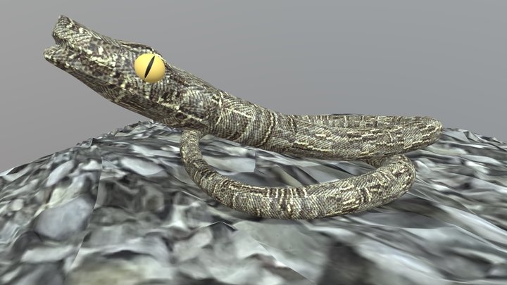 Snake-on-stone – Gratis 3D-model STL