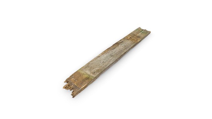 Rotten Wooden Board 3D Model