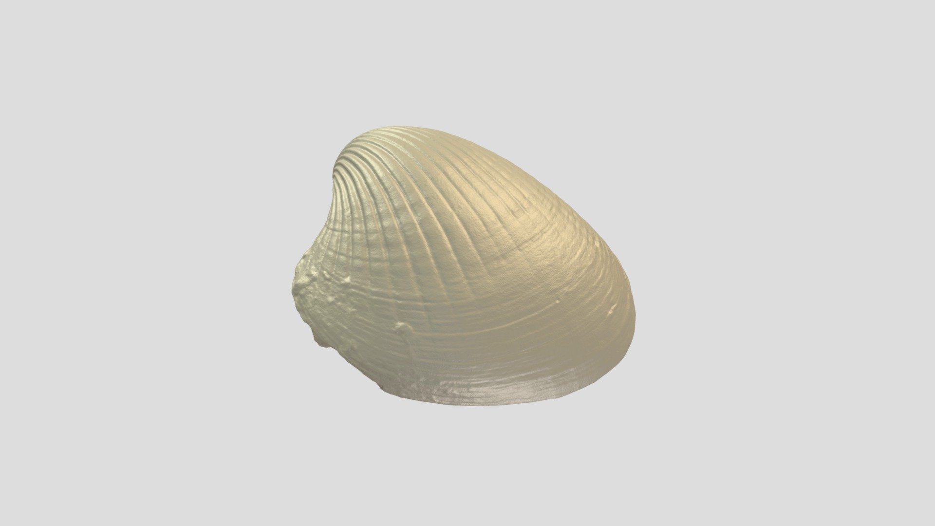 Kit 16c - Specimen 37 - Download Free 3D model by Abby Riggs ...