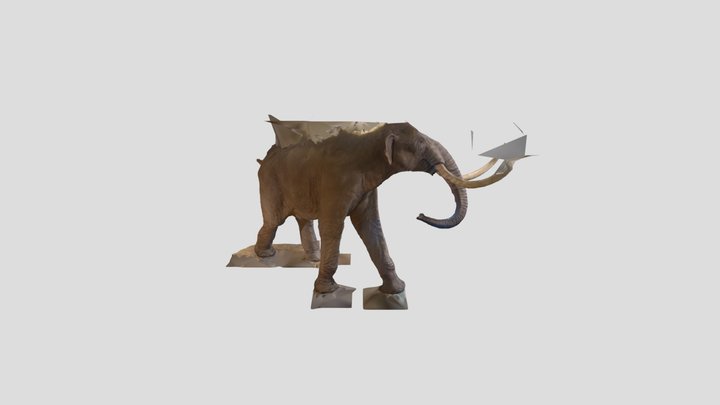 La Brea Columbian Mammoth 3D Model