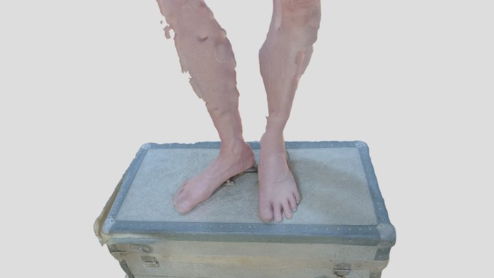 Leg 2 3D Model
