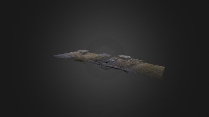 Calibrated Densified Point Cloud 3D Model