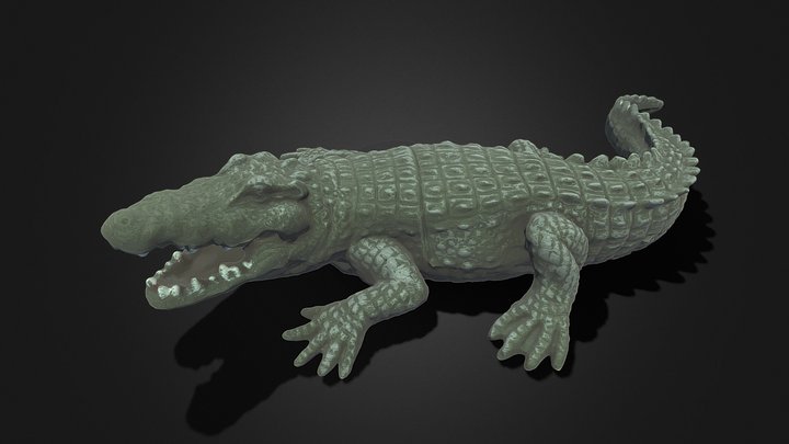 2,464 Crocodile Human Images, Stock Photos, 3D objects, & Vectors