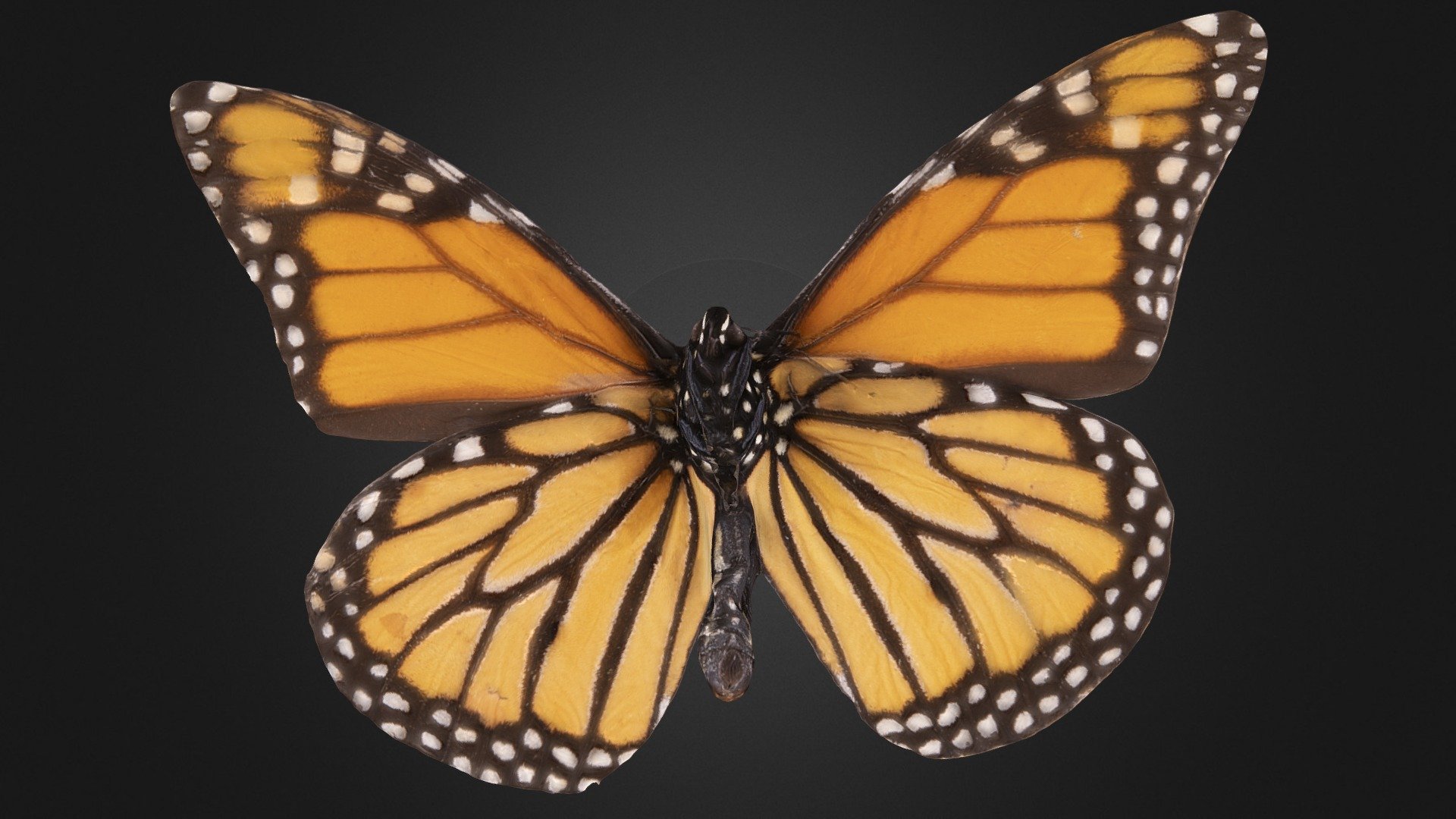 Pole Monarch Butterfly 3d Stereo Simulation Pole Butterfly - Temu