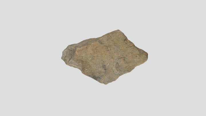 model 3D Model