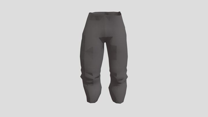 AQIL SPY PANT 3D Model