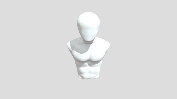 Torso Realistic Sculpt 3D Model