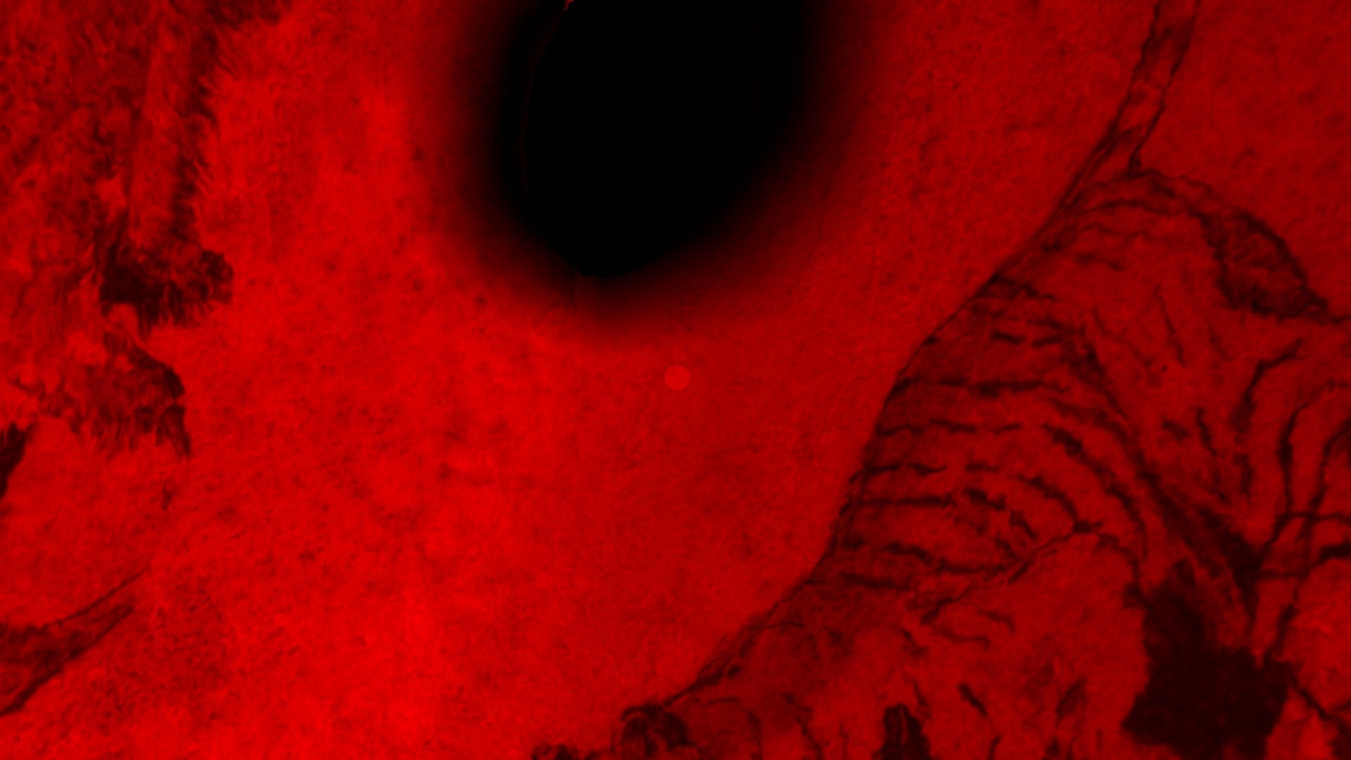 avatarsizebisontigretrounoir