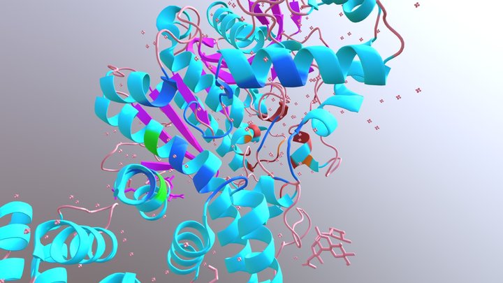 Acetylcholinesterase (Draft) 3D Model