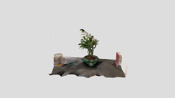 Coffee table bamboo plant 3D Model