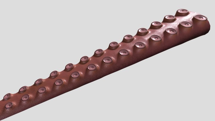 Octopus Tentacle 3D Model