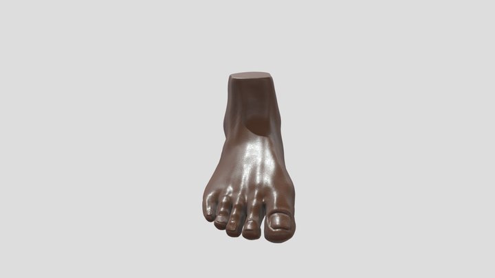 FOOT 3D Model