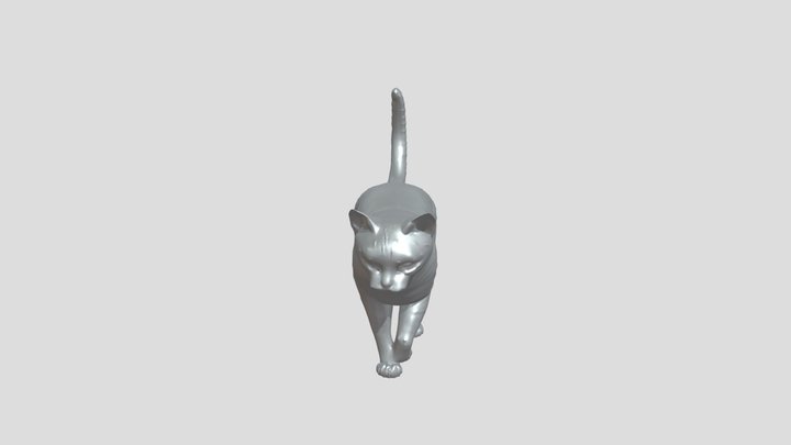 Orange tabby cat walking 3D Model