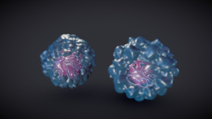 Stem cells 3D Model