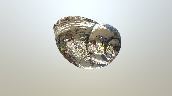 Roman Snail Shell - Metallic 3D Model