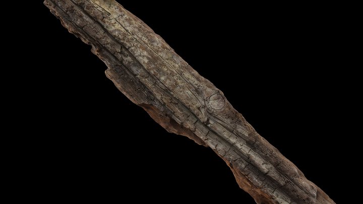 Fragmento de embarcação -Aveiro 3D Model