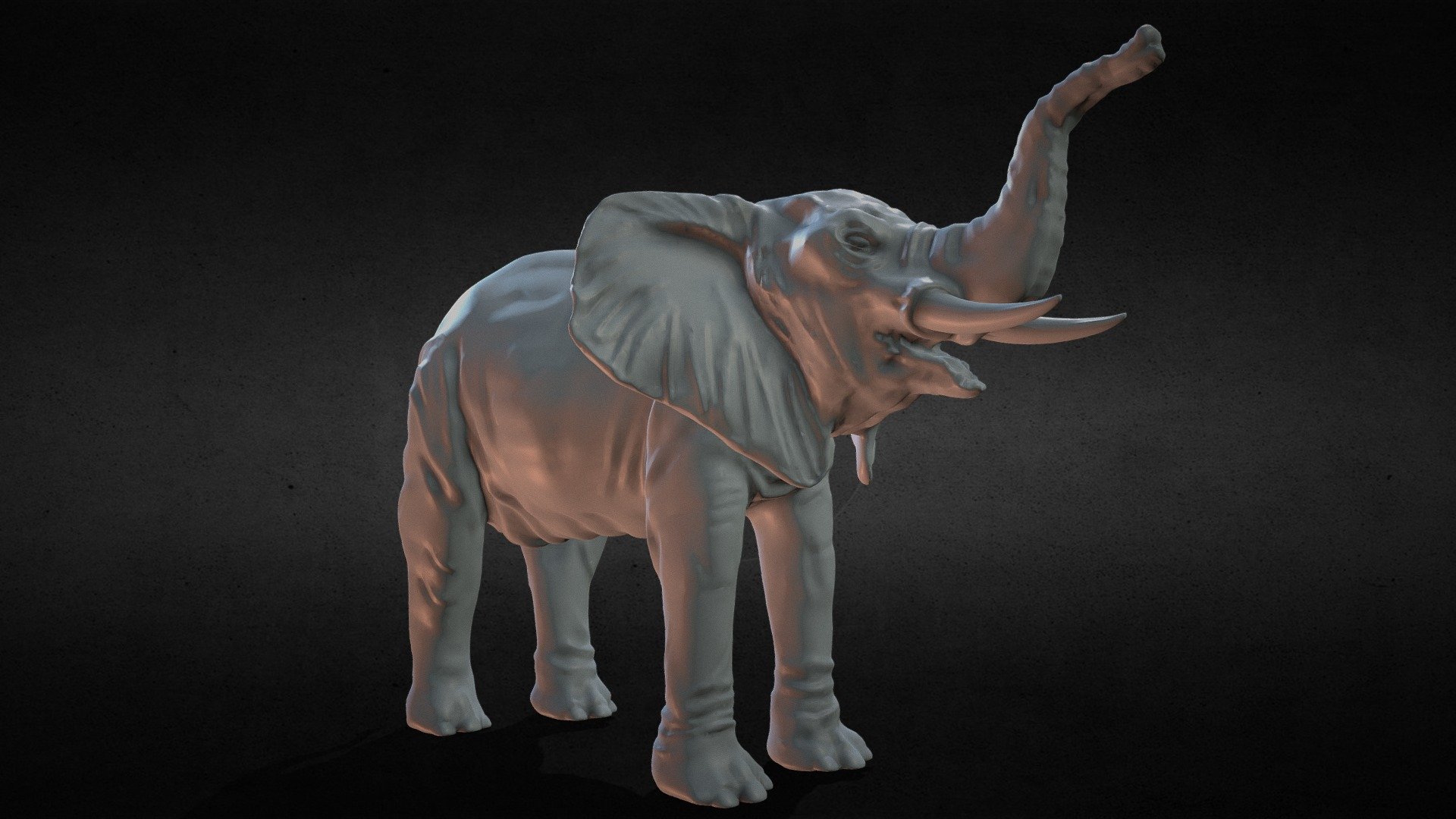 elephant - 3D model by gleisonfreitas290 [3a7a7ae] - Sketchfab