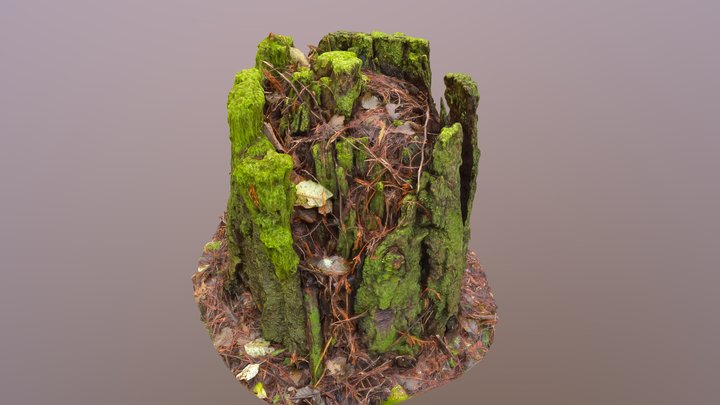 Mossy Stump 3 3D Model