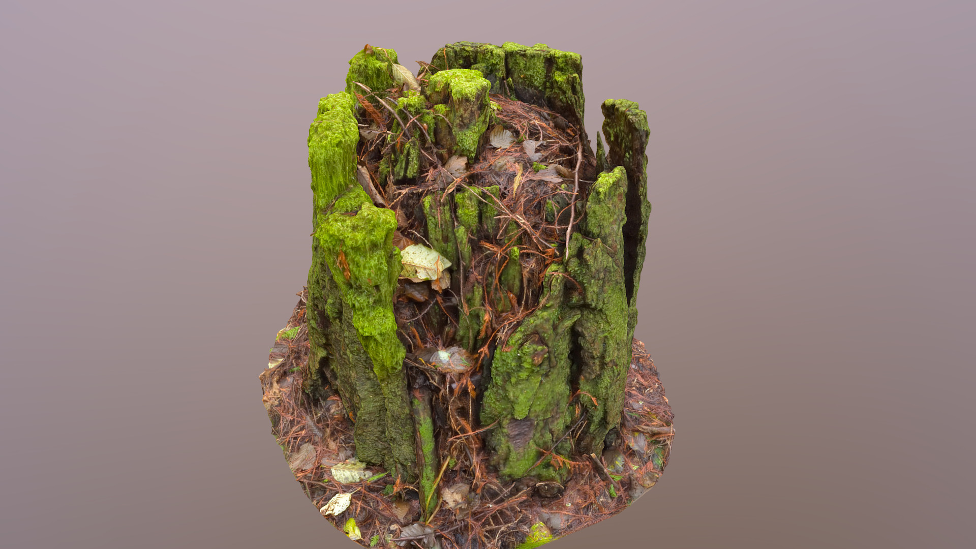 3D model Mossy Stump 3 - This is a 3D model of the Mossy Stump 3. The 3D model is about a tree with green leaves.