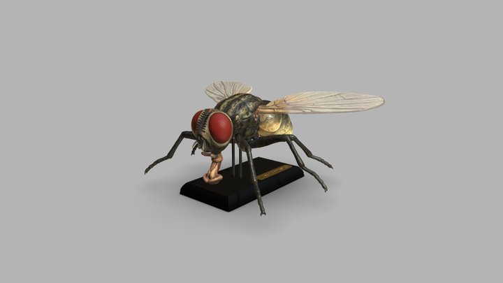 crisisestudio - Sketchfab