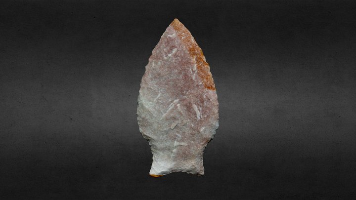 Fishtail Projectile Point 3D Model