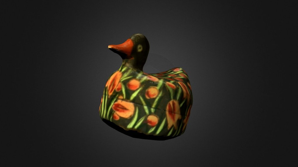 Duck