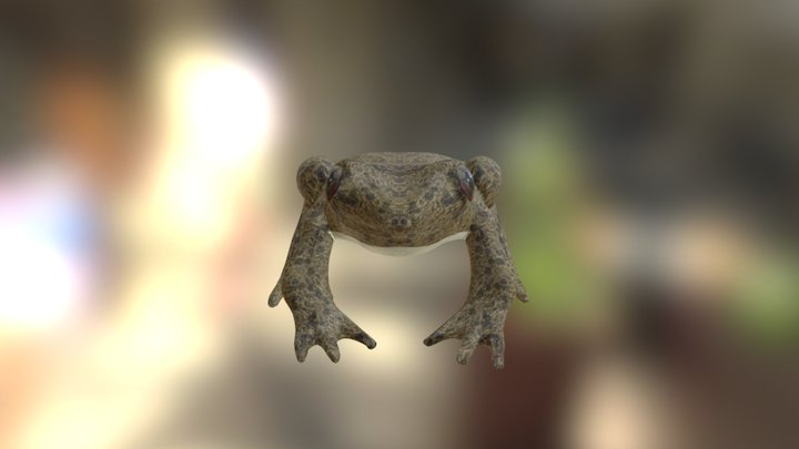 Frog modle 3D Model