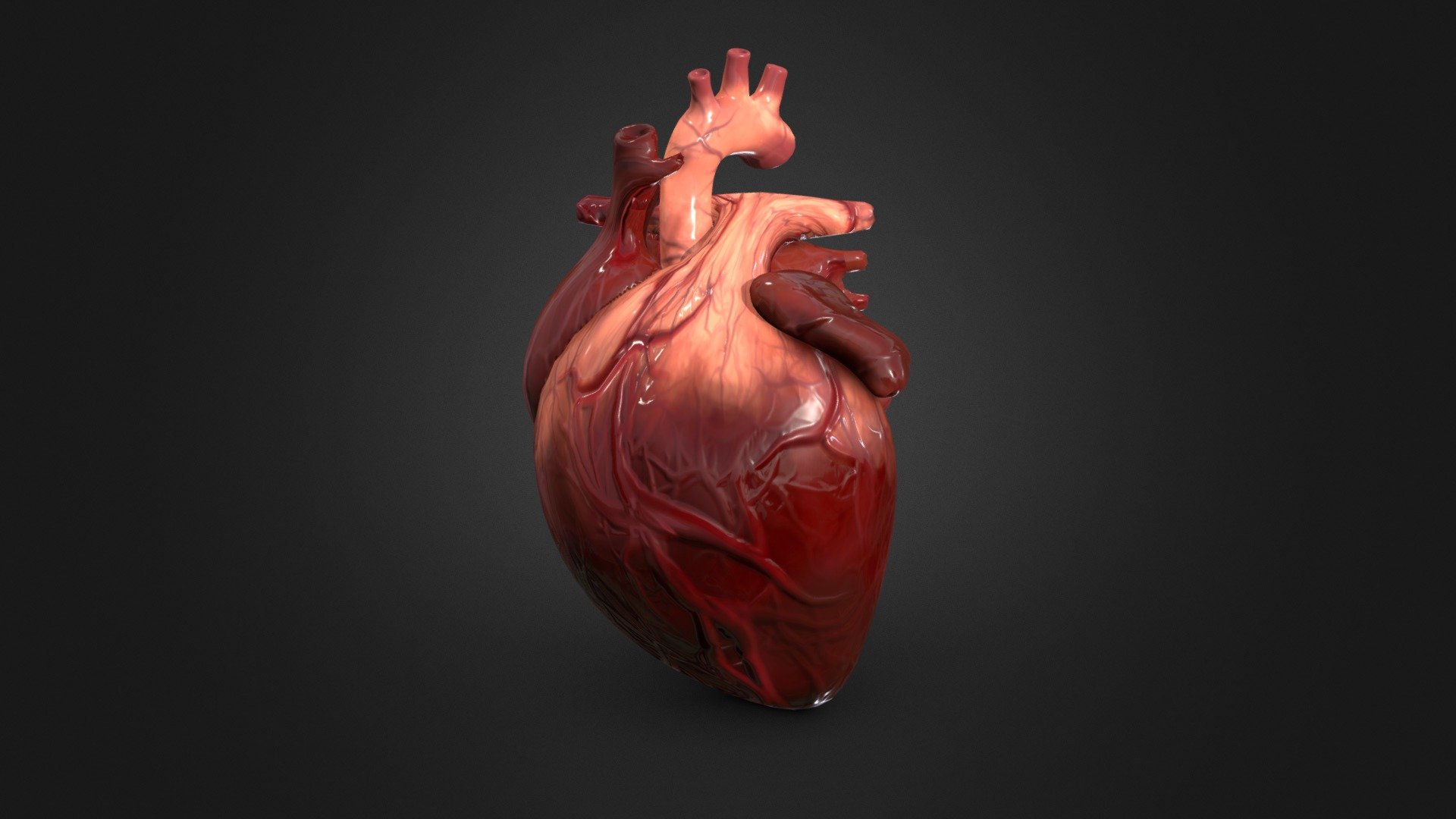 Heart - 3D model by youlie [3a80c2b] - Sketchfab