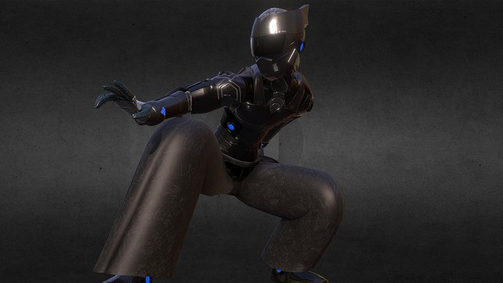 Ninja Cybertech 3D Model