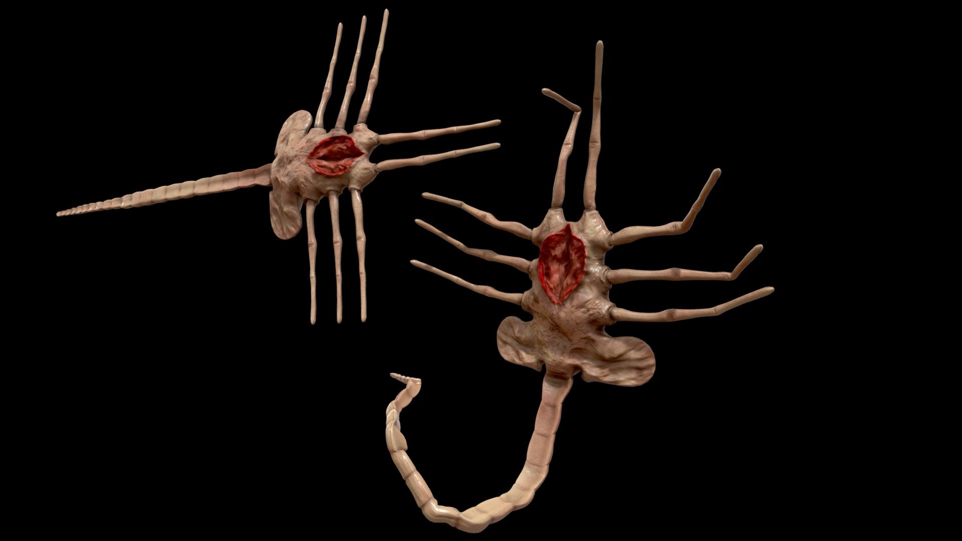 Alien Buy Royalty Free 3d Model By Adrian Kulawik Akstudio3d Alien Buy Royalty Free 3d Model By Adrian Kulawik Akstudio3d