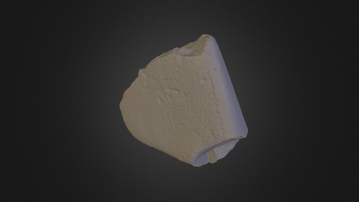 shingle 3D Model