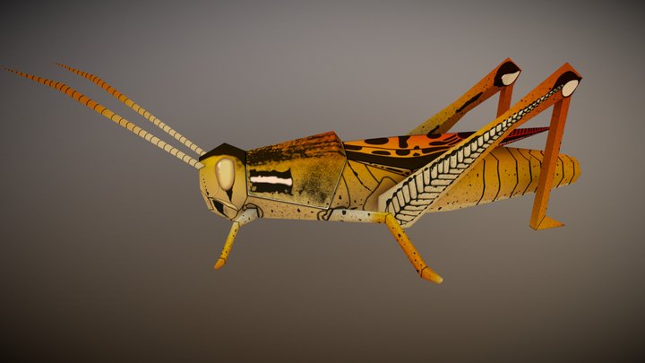 American Grasshopper "Parliament" 3D Model