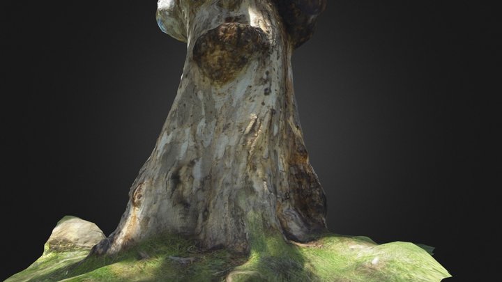 Quick tree 3D Model