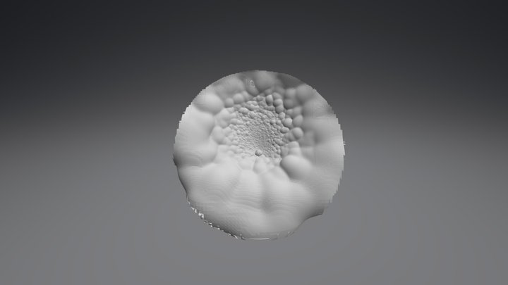 Surfaces 3D Model