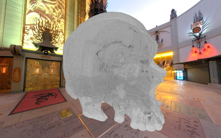 Skull Human 3D Model