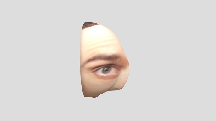Sheldon Cooper 3D Head 3D Model