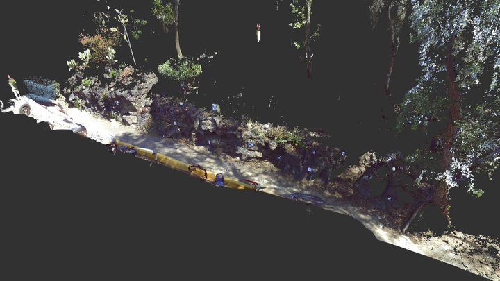 Ply 3D models - Sketchfab