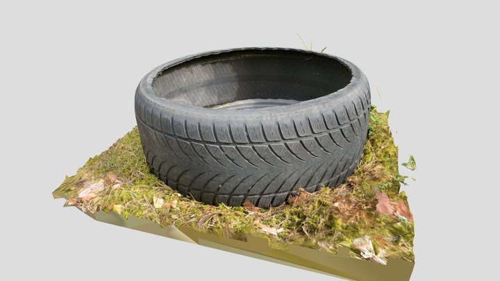 Wheel Tire Forest, RAW Scan 3D Model