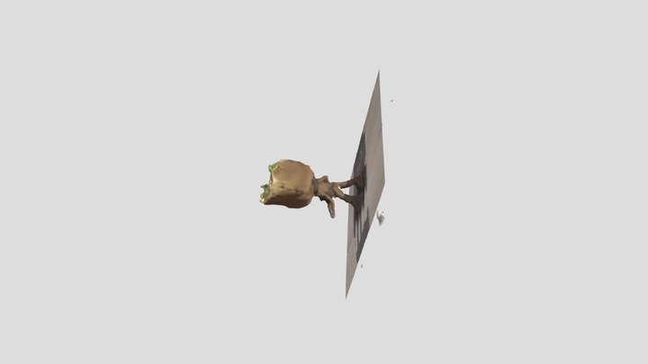 model 3D Model
