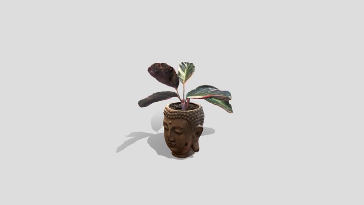 Decorative Plant on a Buda Head Pot 3D Model