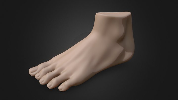 Female Foot 3D Model