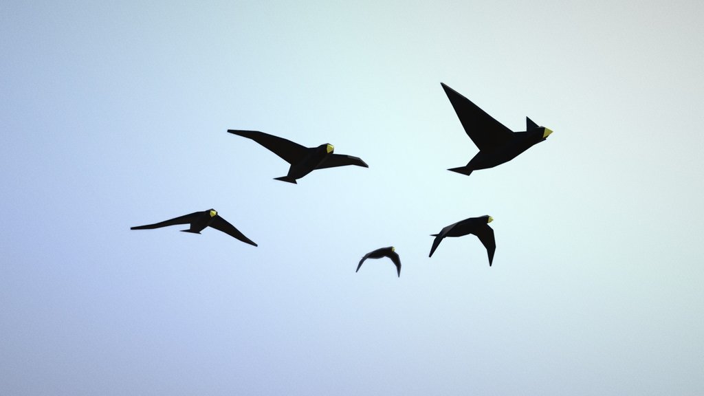 Birds