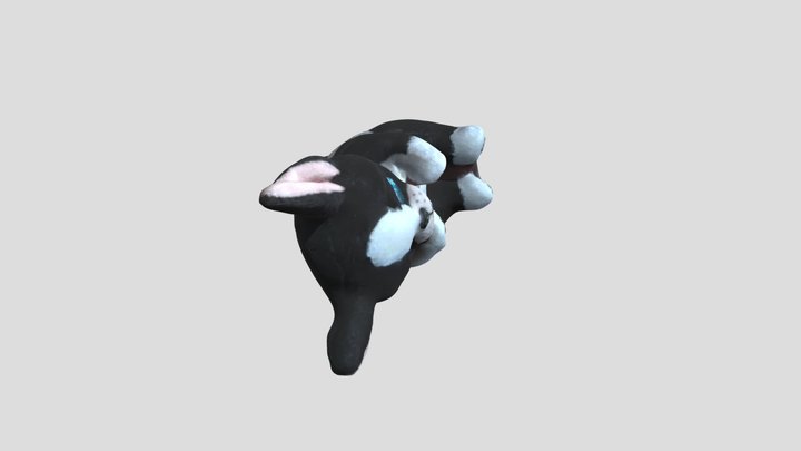 Ty Tink Dog Beanie Bellies 3D Model