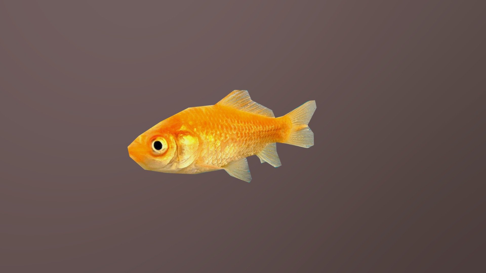Peixinho Dourado