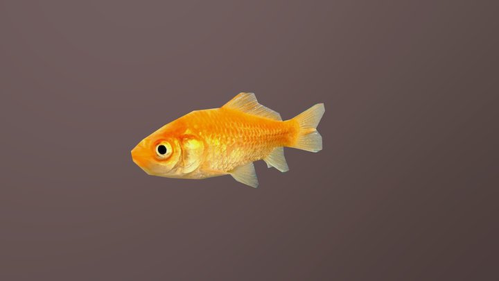 Peixinho Dourado 3D Model